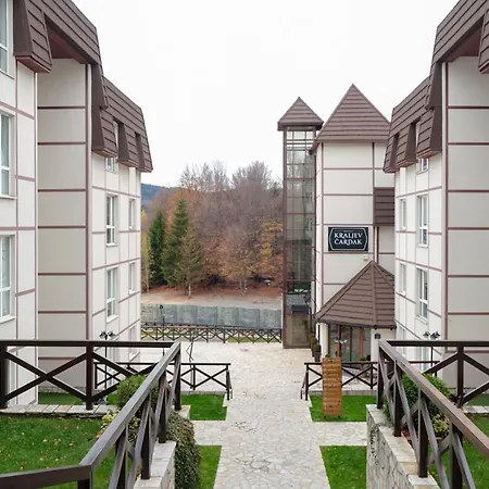 Lux Dunja Cardaci -